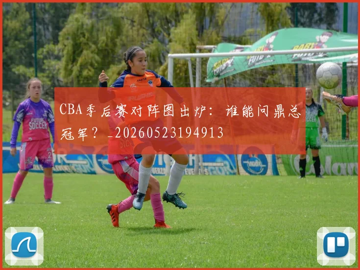 CBA季后赛对阵图出炉:谁能问鼎总冠军?_20260523194913