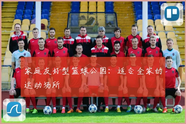家庭友好型篮球公园:适合全家的运动场所