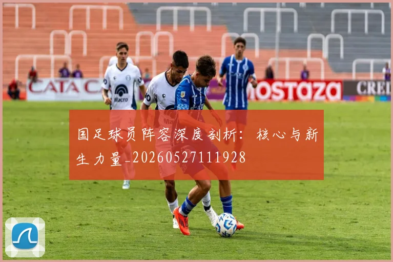 国足球员阵容深度剖析:核心与新生力量_20260527111928